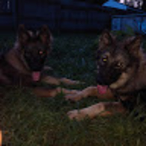 Profile Picture of Jerryd Hudson (@jlhsuccess09) on Poshmark