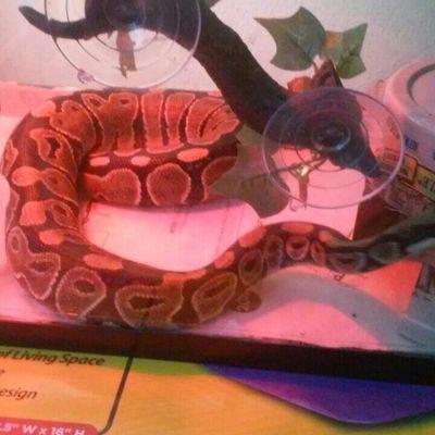 Profile Picture of Mike Gourley (@lotdofthunder76) on Twitter