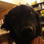 Profile Picture of Adam Ghrist (@ghristadam) on Instagram