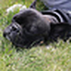 Profile Picture of sfgnom (@sfgnom) on Flickr