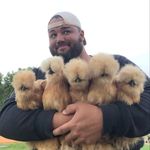 Profile Picture of Dave Arnold (@ohcountryboy) on Instagram