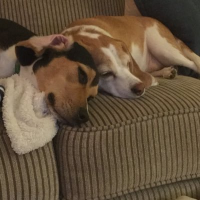 Profile Picture of Jeff Ferrell (@JeffFerrell5) on Twitter