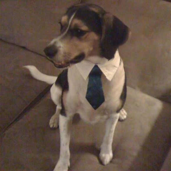 Profile Picture of Kevin Conway (@conway2431) on Poshmark