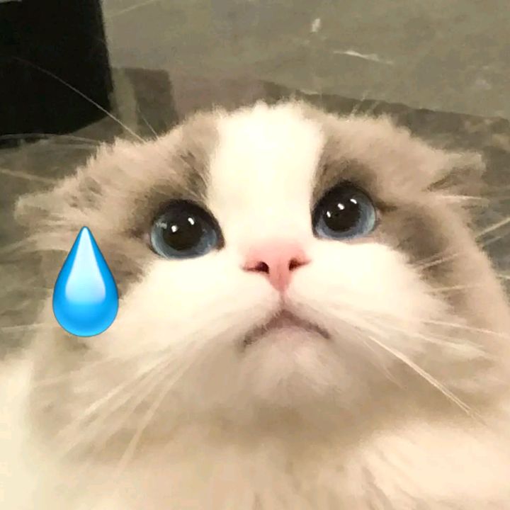 Profile Picture of Paul Hoo (@paulhoo2) on Tiktok