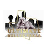 Profile Picture of Jonathan Williams (@ultimatebullyz_texas) on Instagram