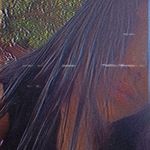 Profile Picture of vanessa arami ozorio (@vanessaaramiozorio) on Instagram