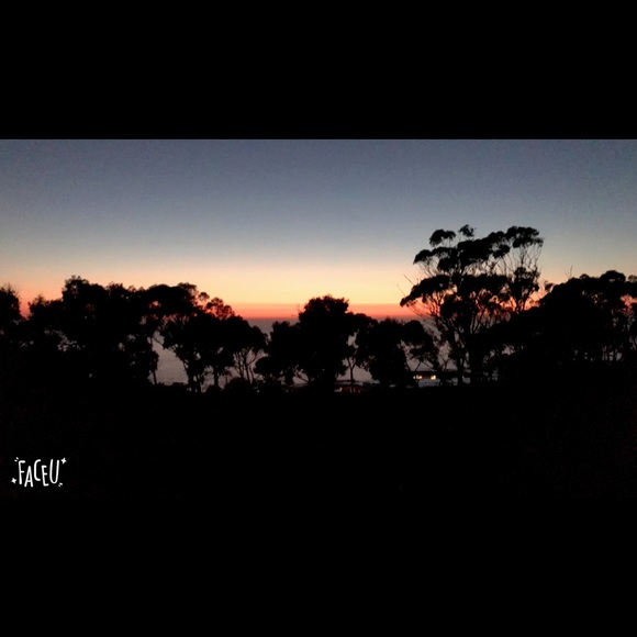 Profile Picture of Wei Zhang (@celia103) on Poshmark