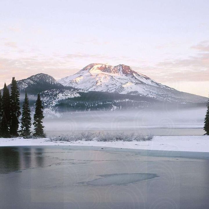 Profile Picture of beatrixhayes (@beatrixhayes) on Tiktok