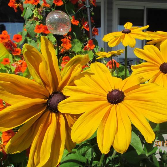 Profile Picture of Margy Legrow (@margylegrow) on Poshmark