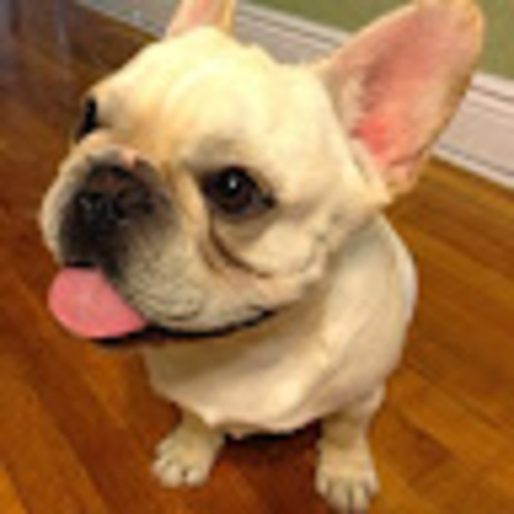 Profile Picture of Paul Tan (@paulizasian) on Poshmark