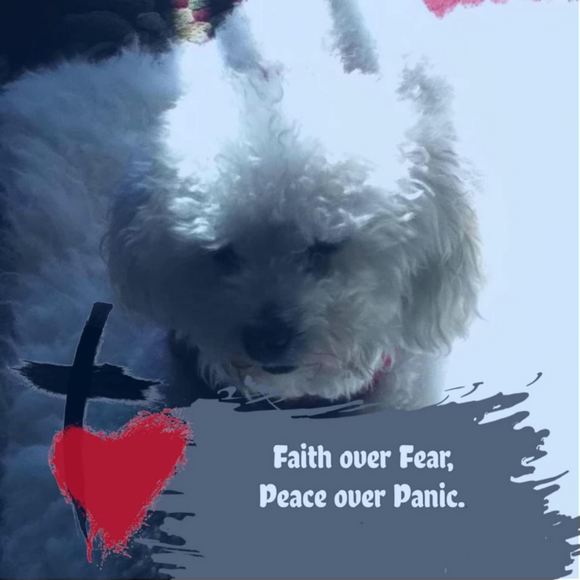 Profile Picture of Norma Favors (@njfavors) on Poshmark