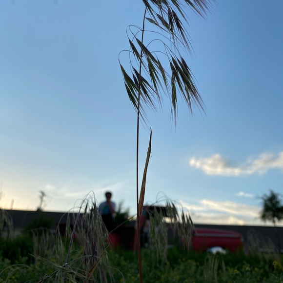 Profile Picture of Braden Musick (@vornadolask) on Poshmark