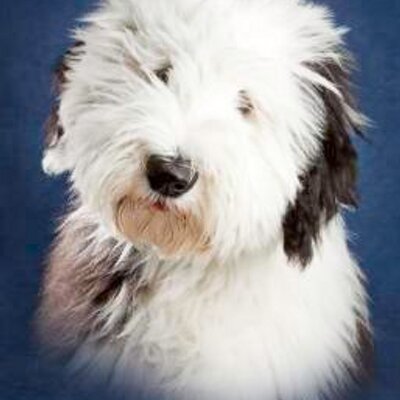 Profile Picture of Tyler R (@born2run1982) on Twitter