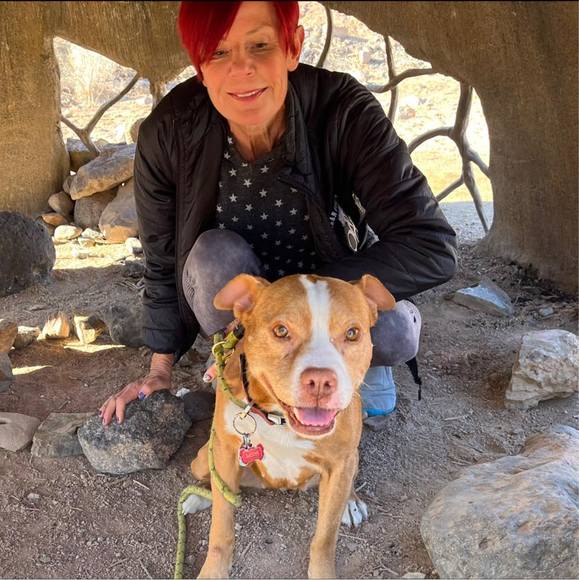 Profile Picture of Ulli Brokate (@ullibrokate) on Poshmark