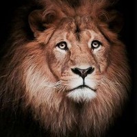 Profile Picture of Dee Ayers (@dee-ayers-3) on Quora