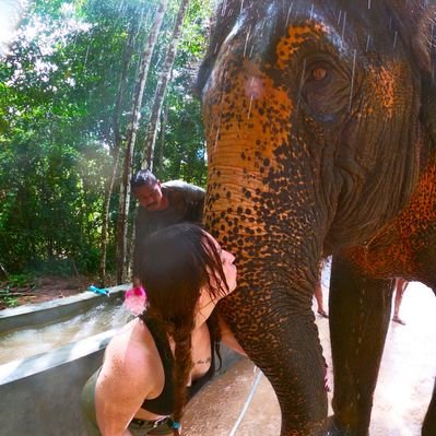 Profile Picture of Brooke Reid. (@xxbrookereid) on Twitter