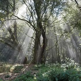 Profile Picture of Wayman Leung (@waykleung) on Pinterest