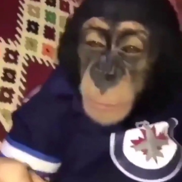 Profile Picture of Andrew Samona (@andrewsamona) on Poshmark