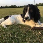 Profile Picture of Wayne Lorenzen (@wayne.lorenzen.10) on Facebook