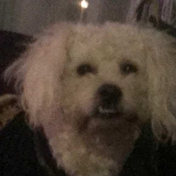 Profile Picture of Horacio Chairez (@lacho727) on Poshmark