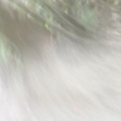 Profile Picture of Jason Michael Josiah (@michaeljosiah91) on Twitter