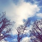 Profile Picture of Førbes_sinclair (@forbes_sinclair) on Instagram