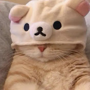 Profile Picture of Julio Lopez (@juliolopez5951) on Youtube