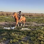 Profile Picture of Braian Macbeth (@Braian-Macbeth) on Facebook