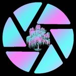 Profile Picture of Bianca Wells (@willow_tree_photography_) on Instagram