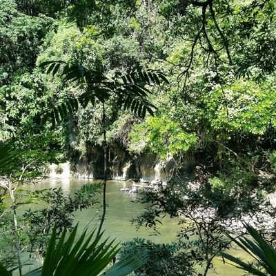 Profile Picture of Camilo Hoyos Hoyos (@c2h1016) on Twitter