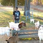 Profile Picture of Bertram Taylor (@berttaylor43) on Instagram