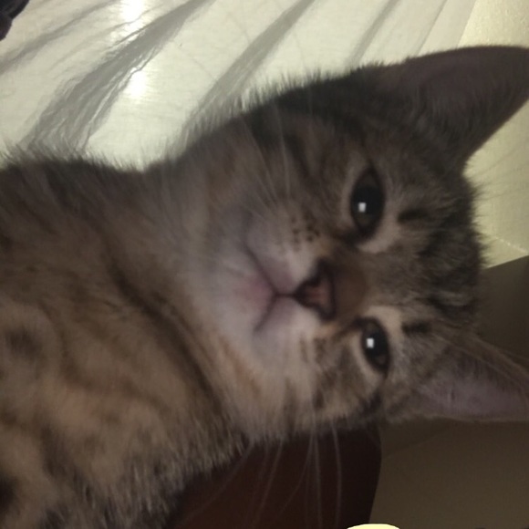 Shaun Wright - Poshmark Profile Picture of Shaun Wright (@sadbaby6) on Poshmark