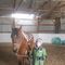 Profile Picture of Jonathan Coldren (@jonathan.coldren.7) on Facebook