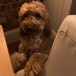 Profile Picture of Chris May (@maysey09) on Instagram