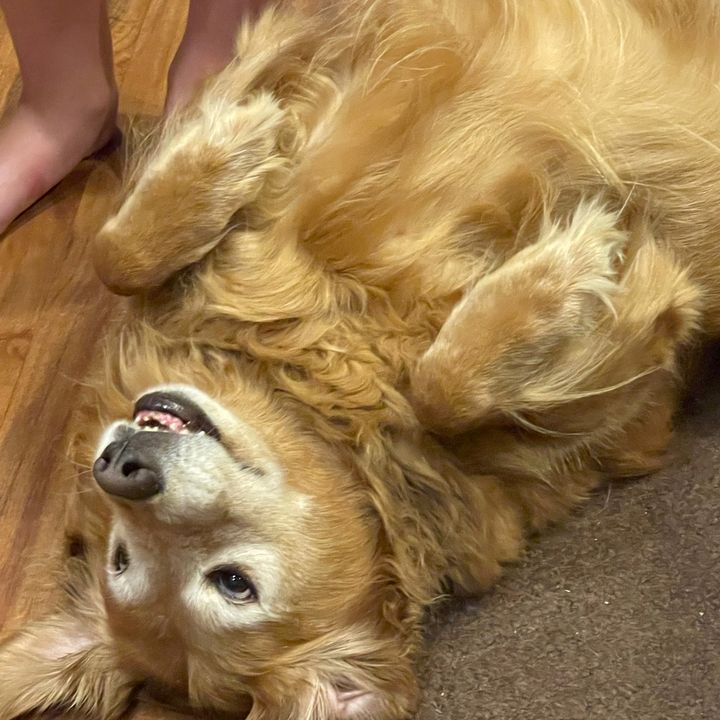 Profile Picture of Garrett Caplan (@pennys_acc) on Tiktok