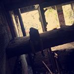 Profile Picture of Sean Whitaker (@sean__whit) on Instagram