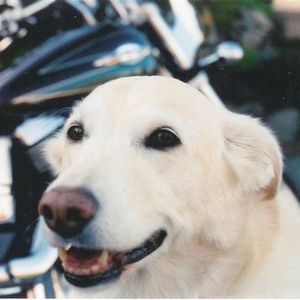Profile Picture of Isabel Orlando (@405216881) on Myspace