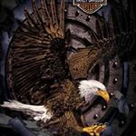 Profile Picture of Scott Homan (@scott.homan.370) on Instagram