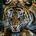 Profile Picture of Carlos Peralez (@carlos.peralez.372) on Facebook