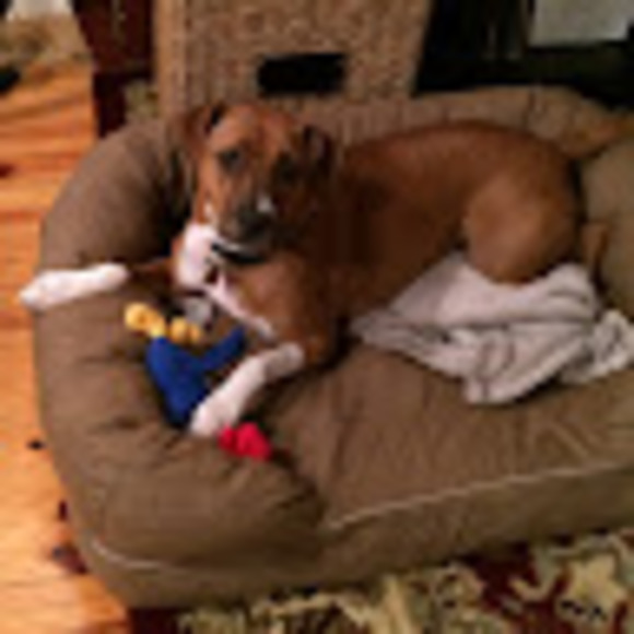 Profile Picture of Cassandra Cunningham (@cassandracun389) on Poshmark