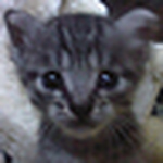 Profile Picture of wu wen chen (@wu wen chen) on Flickr