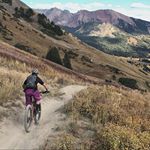 Profile Picture of Barry Bishop (@bbishmtb) on Instagram