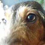 Profile Picture of erik koning (@erikkoning7) on Instagram