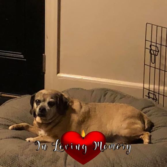 Profile Picture of Jennifer Slaboda (@teddybear1221) on Poshmark