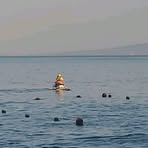 Profile Picture of Juan Chavez (@Juan-Chavez) on Facebook