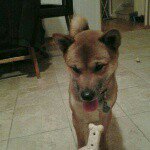 Profile Picture of Jason Diedrich Mark (@jasondiedrichmark) on Instagram