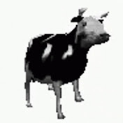 Profile Picture of Adam Bob (@adambob8452) on Youtube