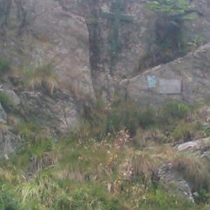 Profile Picture of Vlad Sergiu Dumitru (@dumitru_sergiu) on Twitter