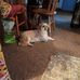 Profile Picture of Nancy Lowery (@nancy.lowery.180410) on Facebook