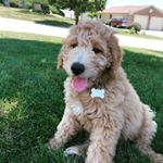 Profile Picture of E L E A N O R 👩‍⚖️ (@eleanor_ruth_bader_baker) on Instagram